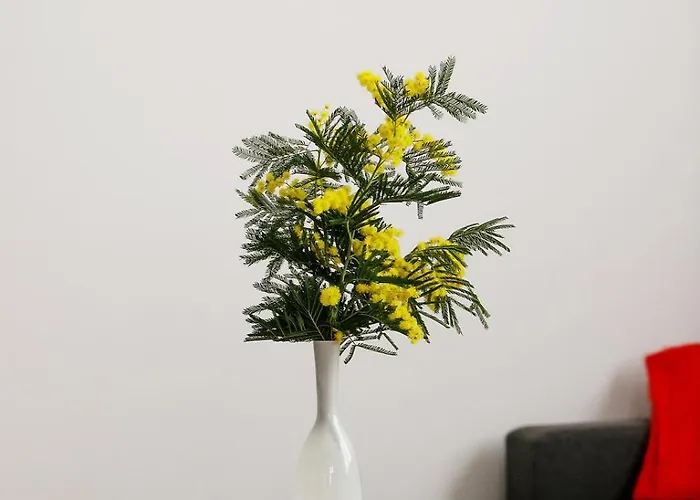 Suzy's Place Apartment