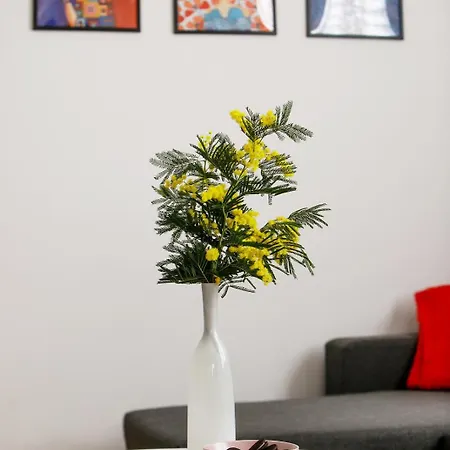 Suzy's Place Apartament